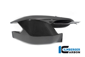 Ilmberger Carbon Fibre Swingarm Cover for Ducati Diavel 1260 2019-22
